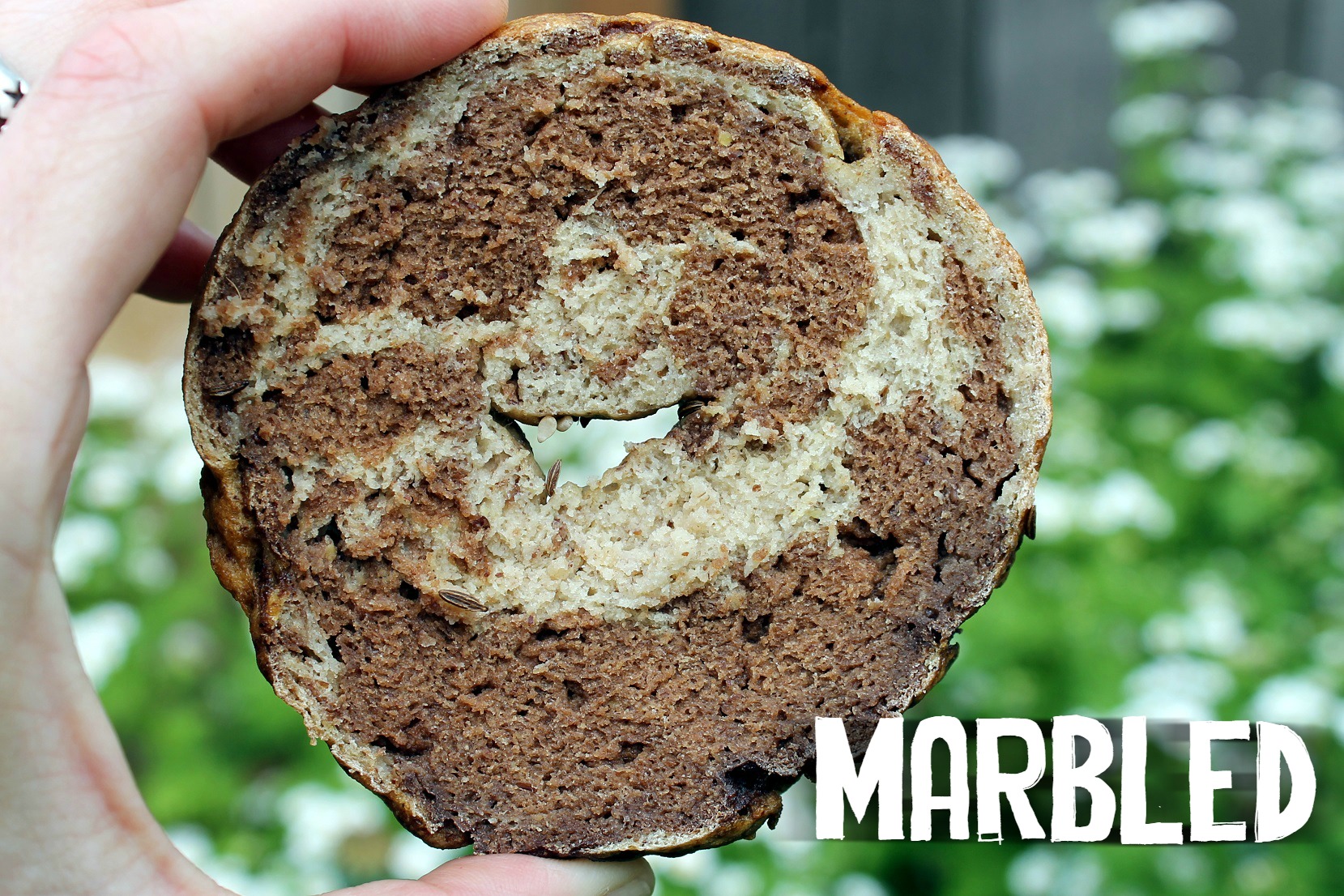 Bagel Factory - Image 8