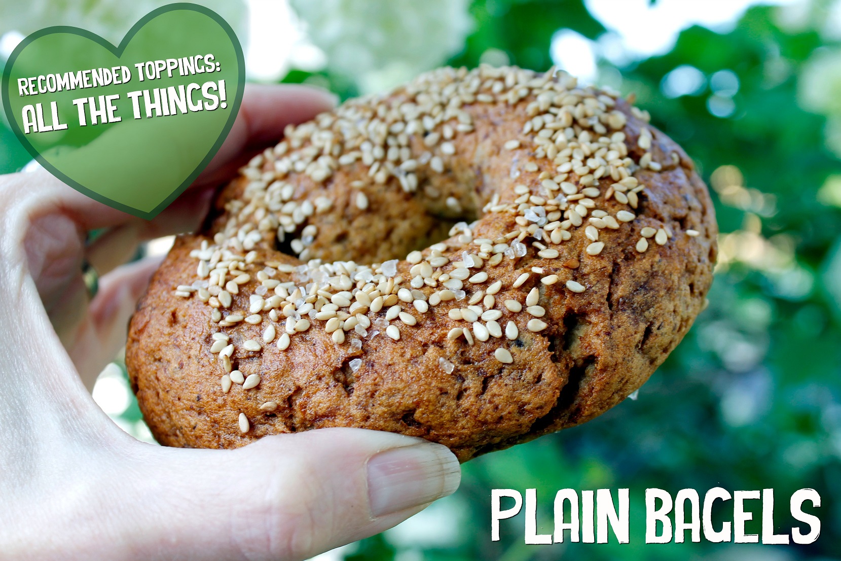 Bagel Factory - Image 5