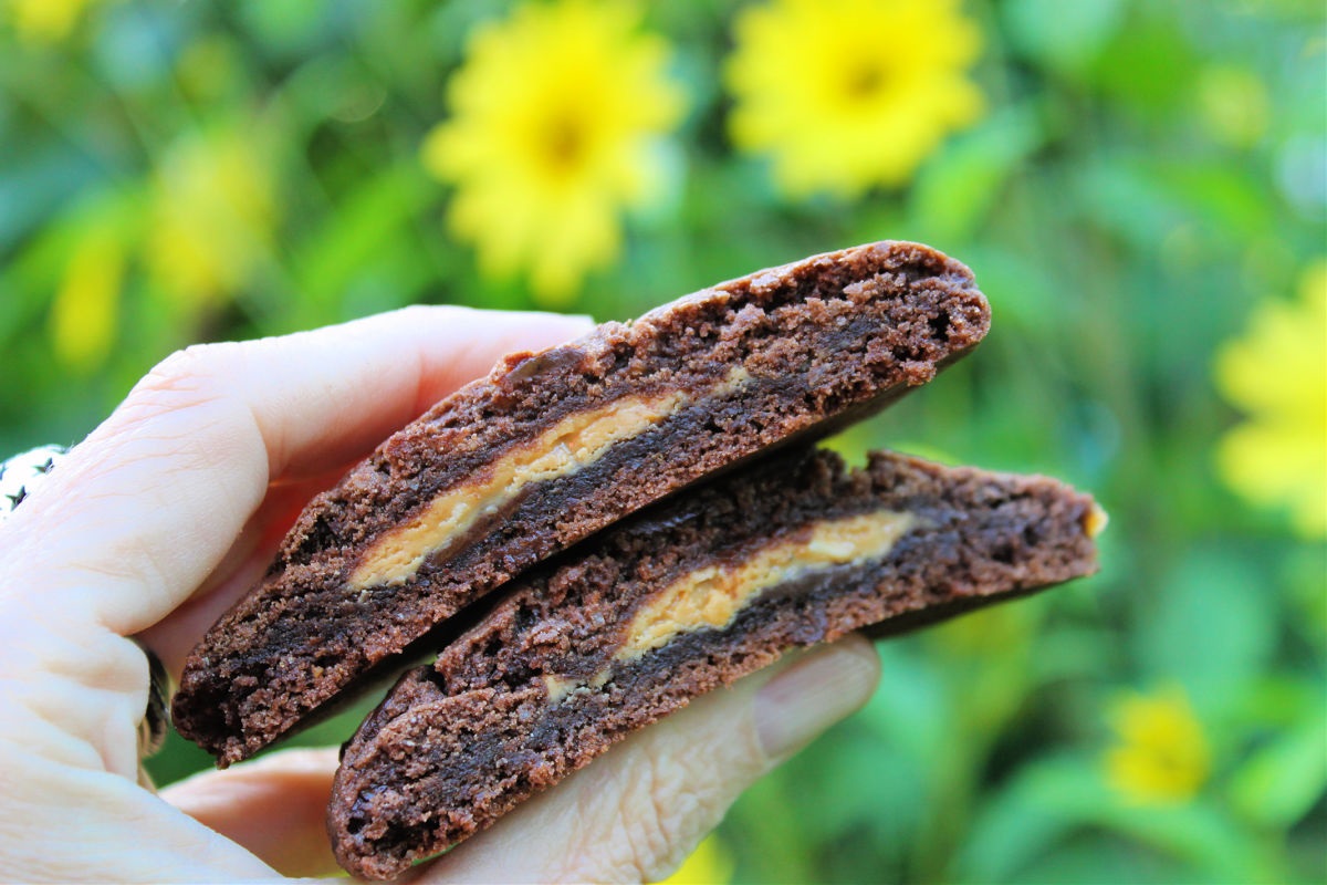 Cross cut double chocolate chip cookies showing a sweetened peanut butter center.