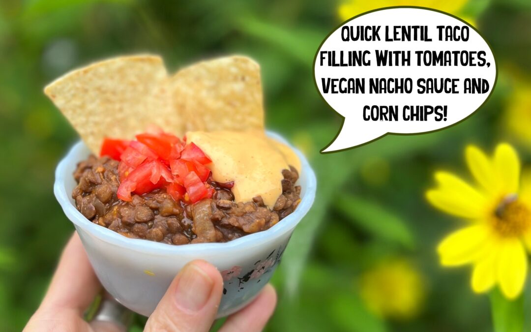 Quick lentil taco filling with tomatoes, nacho sauce and corn chips!